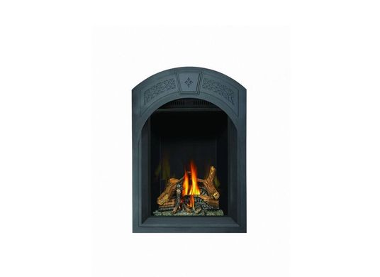 Napoleon Fireplace Park Avenue GD82