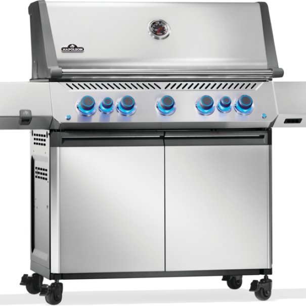 Gril Napoléon Prestige, P665